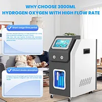 Hydrogen Oxygen Inhalation